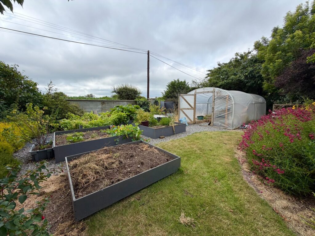 Petestown, Carlingford, The Bush, Co. Louth, A91KR58